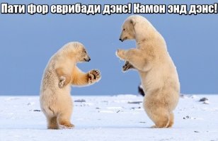 Разные и веселые картинки из сети