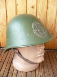 бляха-муха, вот мне уже ясно шо румыны хуже цыганей. усе тырят. там про гранаты был пост, там у французов стырили.
тут про каски, так у нидерландов. осталось только про мины и винтовки. у них кроме своего "тракторца" RSO хоть шот свое есть?