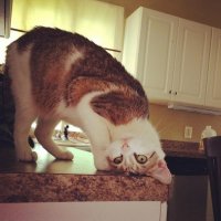 Купол МКС - окно в Космос 