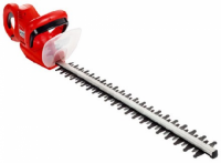 Скат-пилорыл или рыба-пила