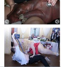 зачем подряд 2 фотки с бегемотами?)