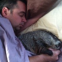 Хозяйка?!