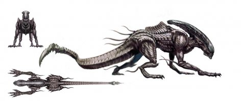 я беру со спины. Там мяса больше.