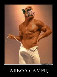 Держитесь, мужики. Вместе мы сила!