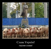 уройся плесень свидомая дятел щэневмэрлый