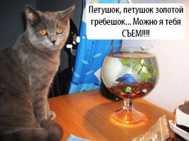 петушки