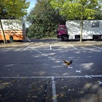 перебежчик!