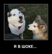 «Брюки превращаются...»: от взрыва колеса шиномонтажнику сорвало штаны