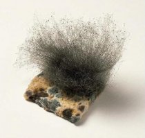 Пенициллин — первый антибиотик — полученный на основе продуктов жизнедеятельности микроорганизмов. Он был выделен в 1928 году Александром Флемингом из штамма гриба вида Penicillium notatum на основе случайного открытия: попадание в культуру бактерий спор плесневого гриба из внешней среды оказало на бактериальную культуру бактерицидное действие. Беспорядок в лаборатории Флеминга  сослужил ему службу. В 1928 году он обнаружил, что на агаре в одной из чашек Петри с бактериями Staphylococcus aureus выросла колония плесневых грибов. Колонии бактерий вокруг плесневых грибов стали прозрачными из-за разрушения клеток. Флемингу удалось выделить активное вещество, разрушающее бактериальные клетки, — пенициллин, работа была опубликована в 1929 году.