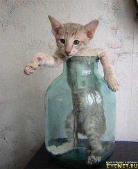 Подборка демотиваторов, которые поднимут вам настроение