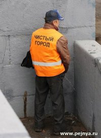 Бурная деятельность в цвете современных реалий