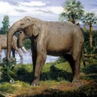 На картинке  - платибелодон. Дейнотерий примерно такой: