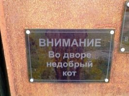 Если не покусает, то обманет обязательно.