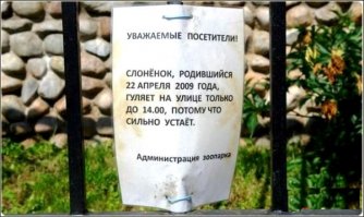 Жизненные, яркие и грустные надписи наших будней