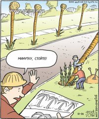 Бурная деятельность в цвете современных реалий