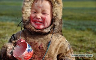 северных ребят такой едой не удивить :)