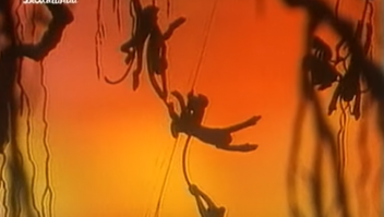 с детства всегда удивлялся, как обезьяны меняют траекторию движения в воздухе и без крыльев. Но сцуко так физиком великим и не стал :)