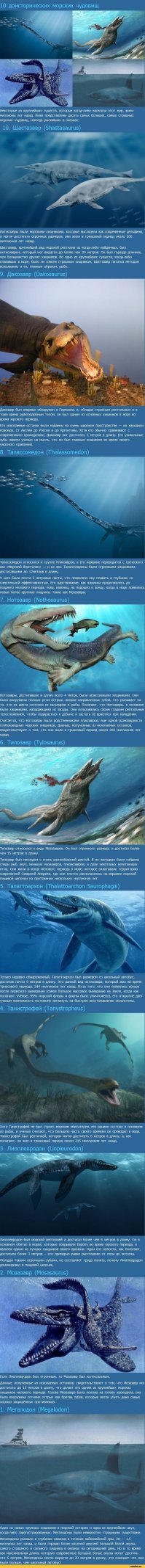 Топ-25 потрясающих вымерших животных, которых, к счастью, уже не существует