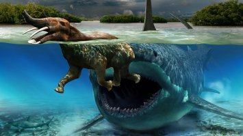 Топ-25 потрясающих вымерших животных, которых, к счастью, уже не существует