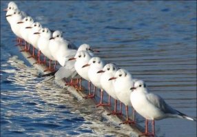 Подборка прикольных фото