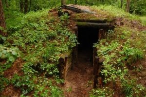 Этот холм в Словении скрывает в себе волшебный домик хоббита