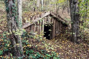 Этот холм в Словении скрывает в себе волшебный домик хоббита