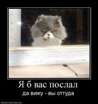 Вы снились мне! Не смейте отпираться