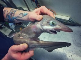 Я выгляжу так же в конце рабочей недели, а завтра снова на работу!!!