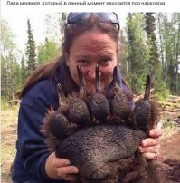 Попробуй вырвись из такой лапы.