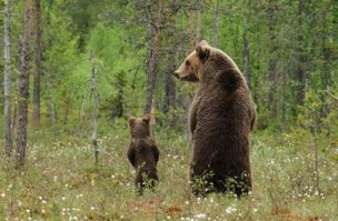 Батя учит сыну мочиться по мужски?))