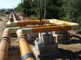 Скоростегаситель. Он же компенсатор.   Ну, почти