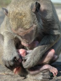 Это вот я сфоткал