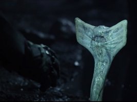 ЧЕМ то напомнило (фильм Прометей)