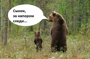 Любовь к детям безгранична,и животные это тоже знают