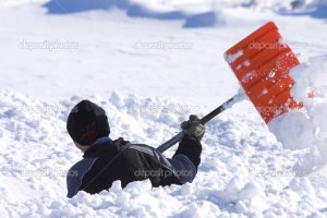 Когда картоху в ноябре посадил...(((