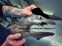 Порция новых монстров, выловленных в океане