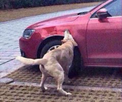 Он очень скоро отомстит!