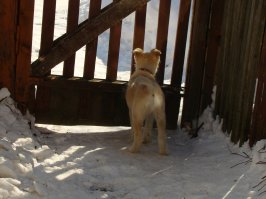 Спасибо, пост отличный