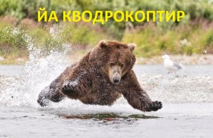 Невероятный полет медведя во время охоты на лосося