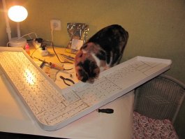 Мурка проверяет, как я светодиодики паяю - все ли правильно или пора указать на ошибку... ;)