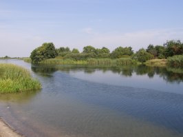 Привет, зема.
Панино узнаешь?