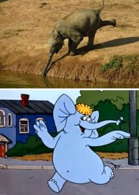 Подборка картинок