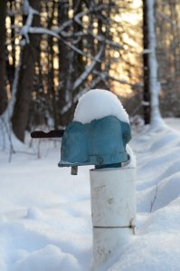 Такая у нас в нашем (старом) дворе стоит. Сколько помню себя... .Летом домой попить? Загонят.. Из колонки можно))))
