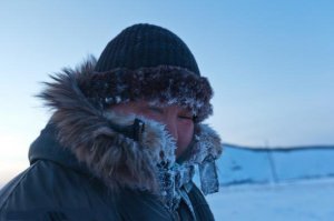 Приезжай к нам в тундра.