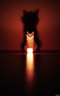 Автор,ты про кота забыл;)