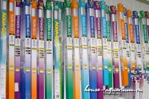 Автор, нарыл журнал "Наука и жизнь" за 1975 год? Рыбам да, свет не важен, а вот растениям очень важен, и лампы используются, не те что в твоей инструкции, а вот такие, в зависимости от мощности и спектра.
