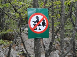 Поездка в Канаду