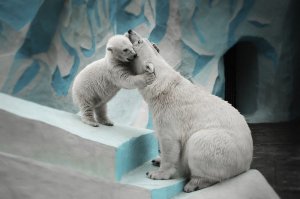 Любовь к детям безгранична,и животные это тоже знают