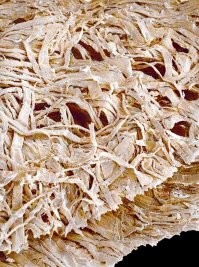 Я такую же бумагу туалетную купил по скидке, хотел сэкономить.