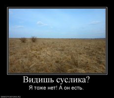 Монгольский спецназ. Не видели? А он есть